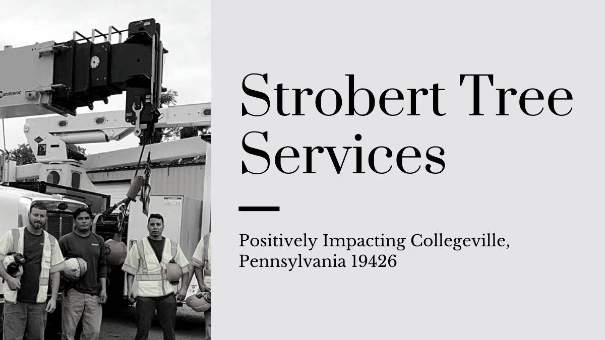 Positively Impacted Collegeville, Pennsylvania 19426